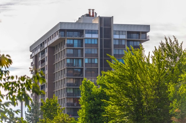 AdobeStock_215598235